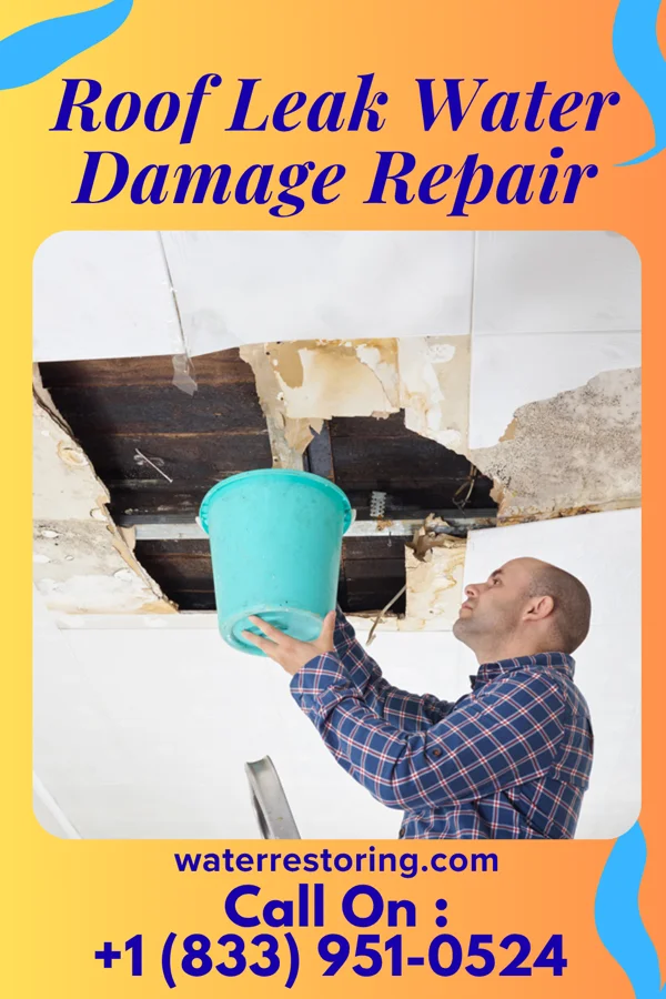 Roof Leak Water Damage Repair in Brandywine Bay, NC