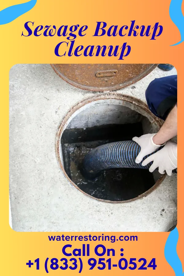 Sewage Backup Cleanup in Brandywine Bay, NC