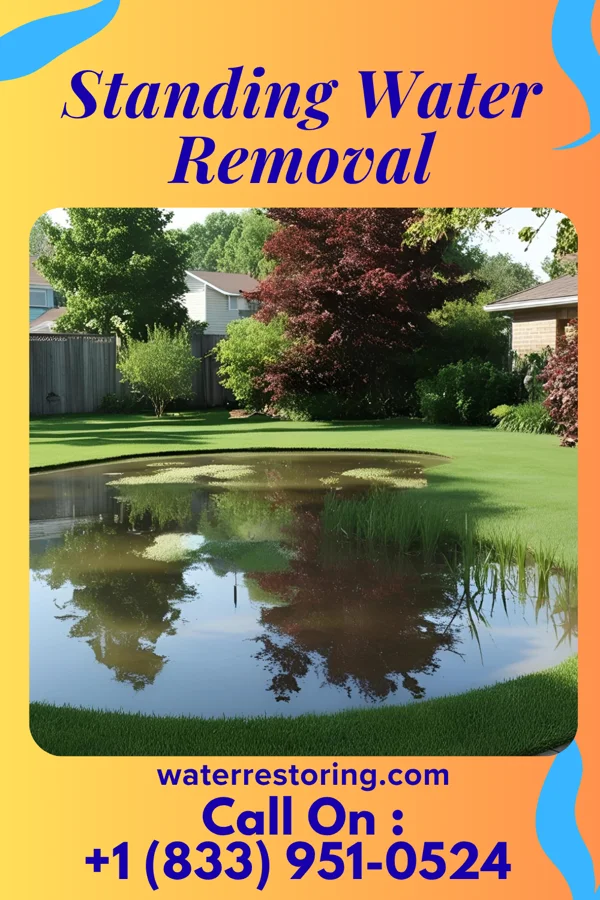 Standing Water Removal in Brandywine Bay, NC